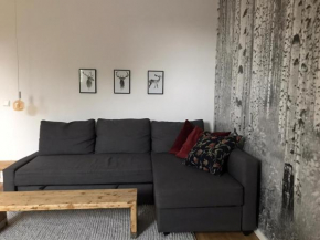 Beautiful Apartment in Historic Building - 30km to Düsseldorf Airport